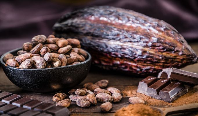 Vegan dark chocolate nutrition facts