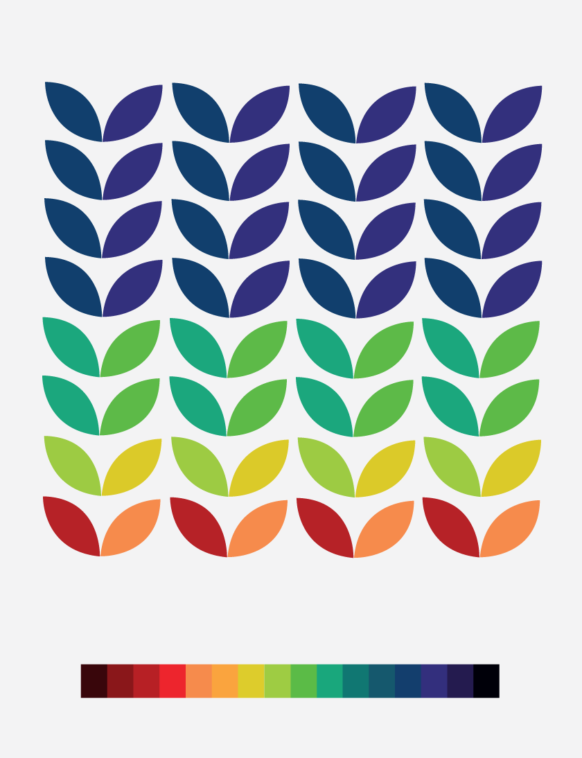 wendy-corbett-leaf-composition-red-orange-yellow-green-blue-indigo-violet